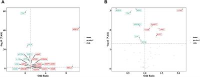 Pharmacological targets of SGLT2 inhibitors on IgA nephropathy and membranous nephropathy: a mendelian randomization study